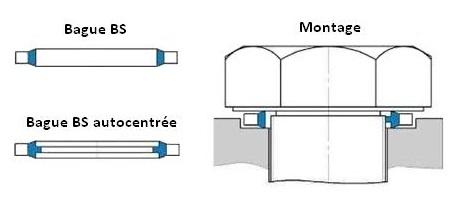 Dimensions BS